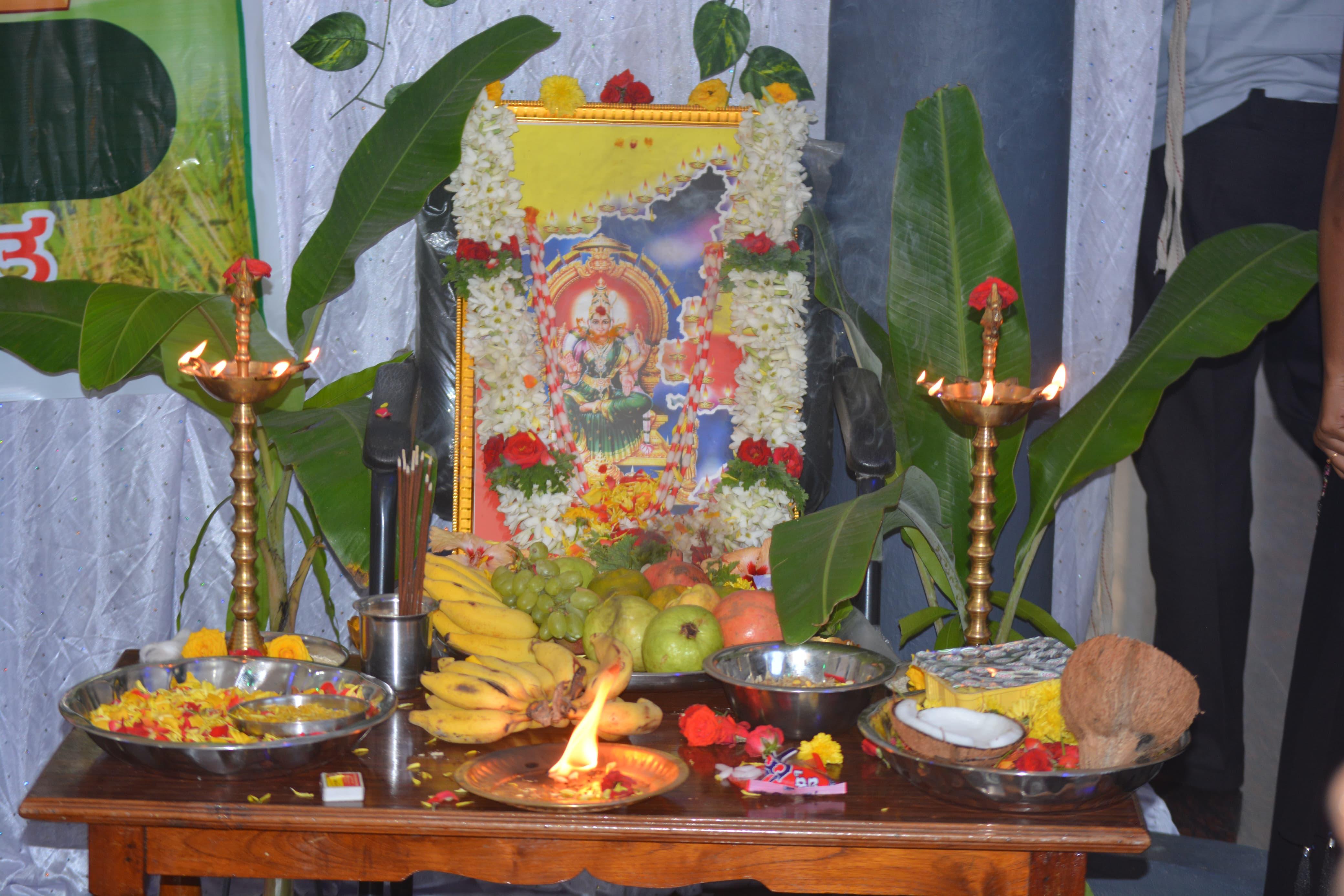 Kannada Rajyotsava participation 1