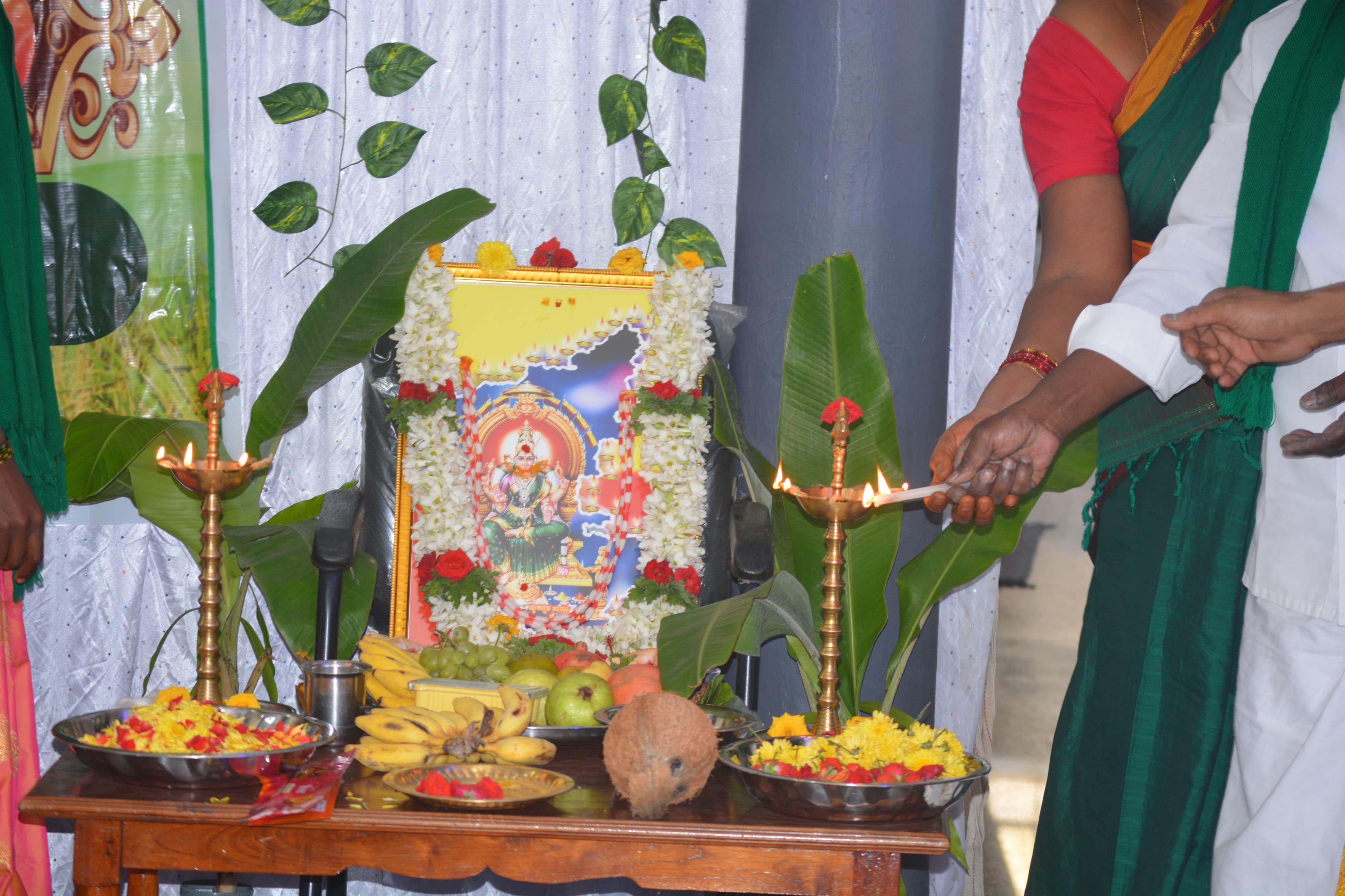 Kannada Rajyotsava participation 7